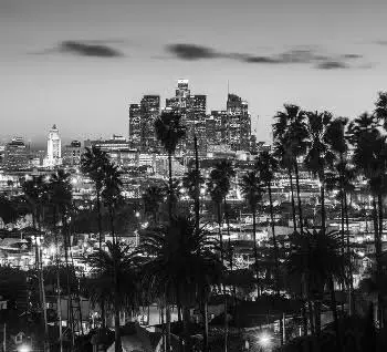 Opticor Group Los Angeles