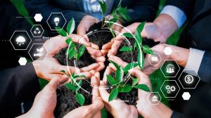 Opticor Group Sustainability